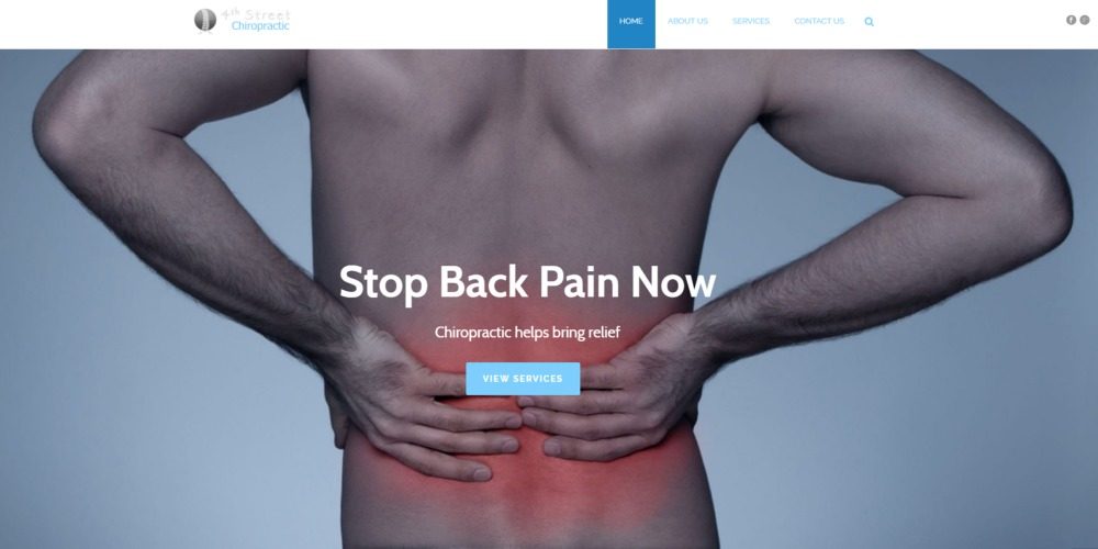 Rochester Michigan Chiropractor Website